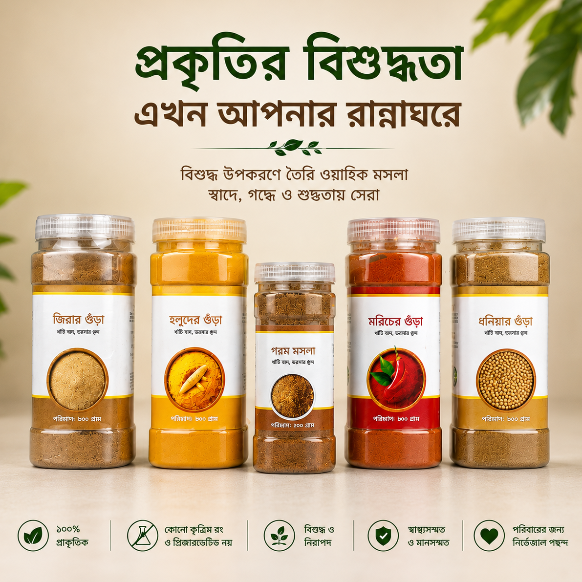 মসলা প্যাকেজ